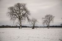 Winterlandschaft_Heike