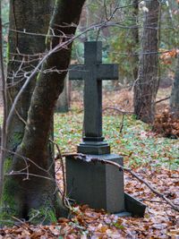 Bernd S&uuml;dwestfriedhof (2) 